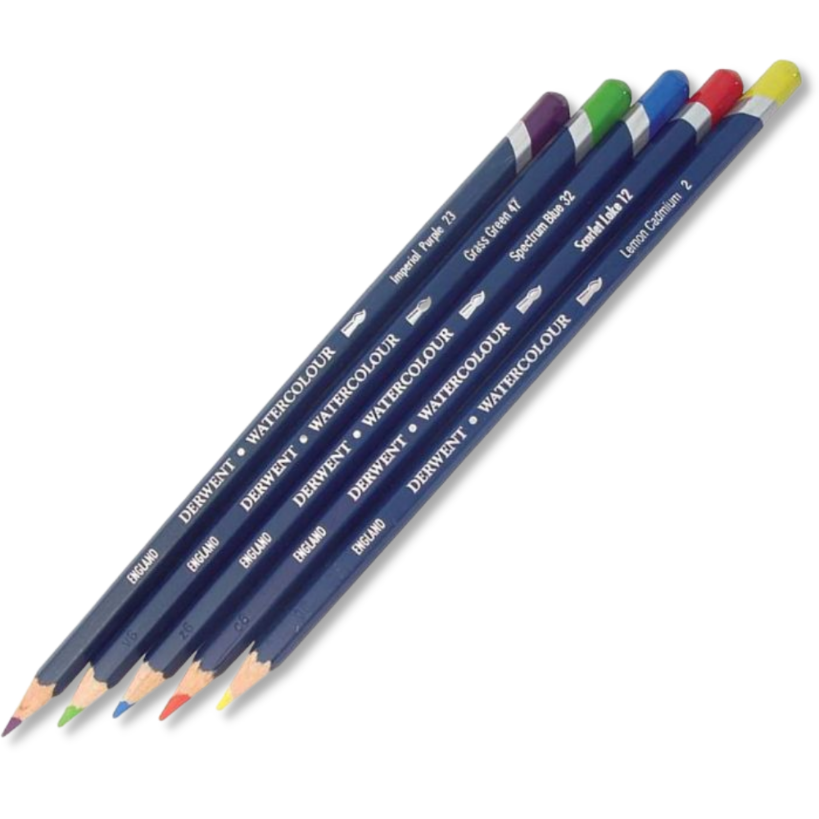Derwent 24 Watercolour Pencils, Colouring, Blending, Layering, Drawing - The pencils are pre-sharpened for immediate use