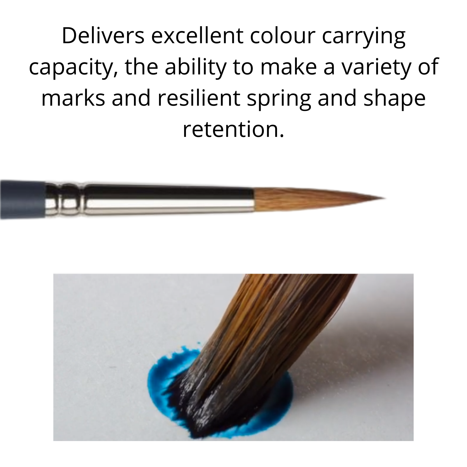 Winsor and Newton Professional Watercolour Paintbrushes, Synthetic Sable Brushes - delivers excellent colour carrying capacity