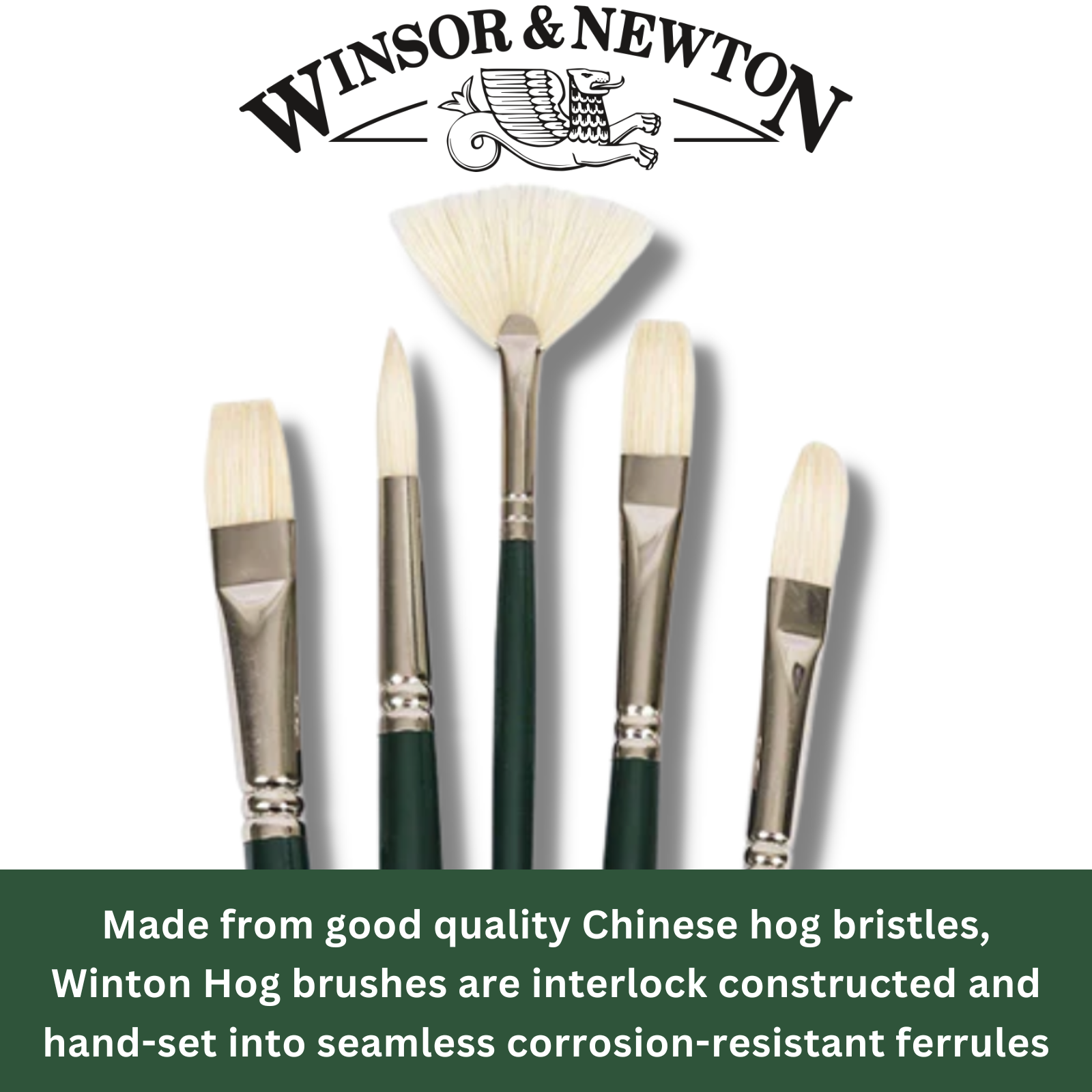 5 Winsor & Newton Winton Hog Hairbrushes for Oil & Acrylic, Round, Flat, Fan - Feature the finest Chinese hog bristles