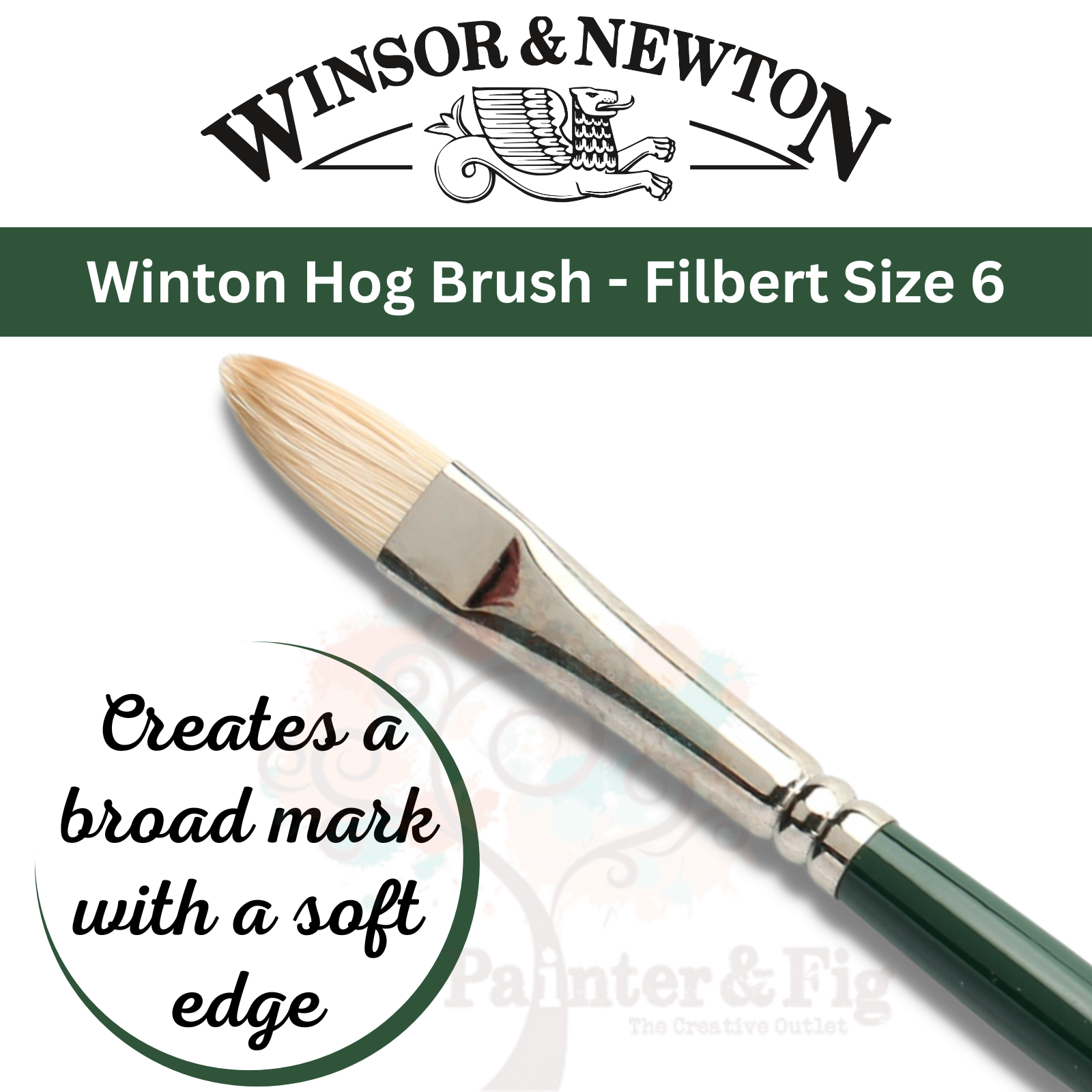 5 Winsor & Newton Winton Hog Hairbrushes for Oil & Acrylic, Round, Flat, Fan - Use filberts brush for any general brushwork