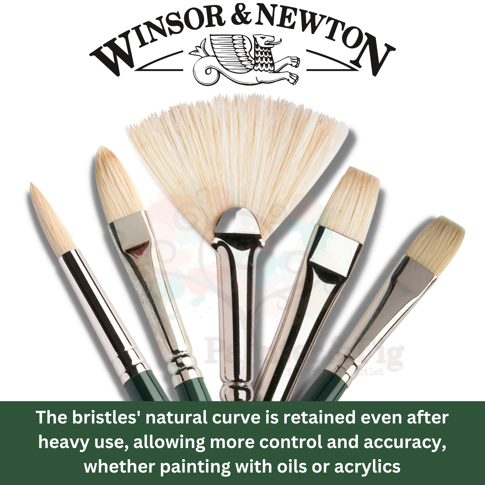 5 Winsor & Newton Winton Hog Hairbrushes for Oil & Acrylic, Round, Flat, Fan - Very durable, resilient & easy to clean